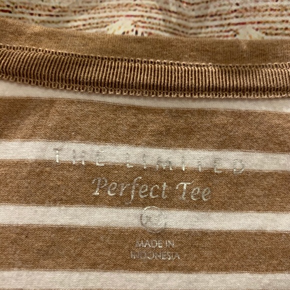 The Limited Tan Stripe Perfect Tee - Picture 3 of 5